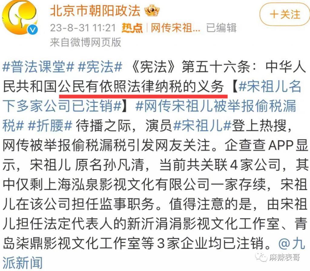 「偷税」只是加速了她糊的进度