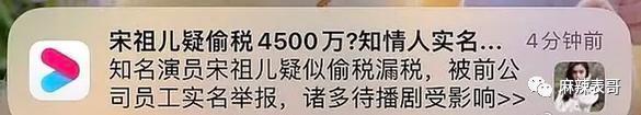 「偷税」只是加速了她糊的进度