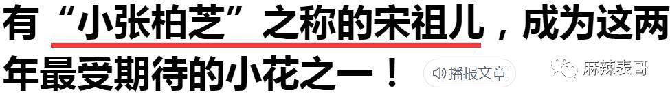 「偷税」只是加速了她糊的进度