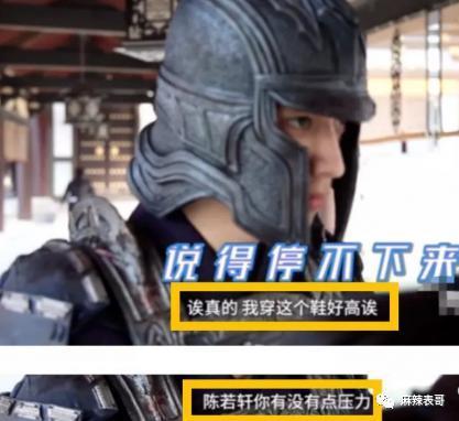 「偷税」只是加速了她糊的进度