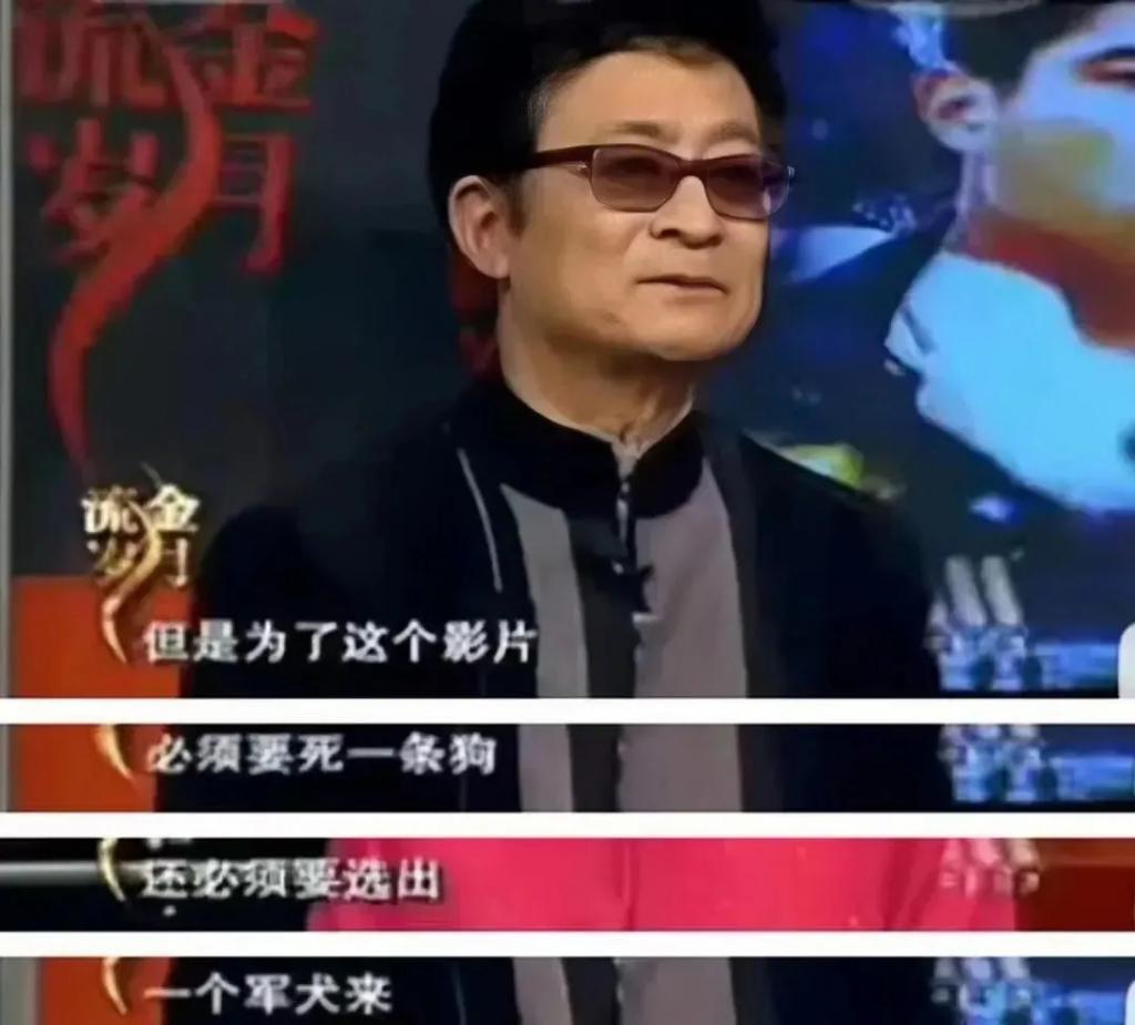 从“古装第一美女”到查无此人，她经历了啥？