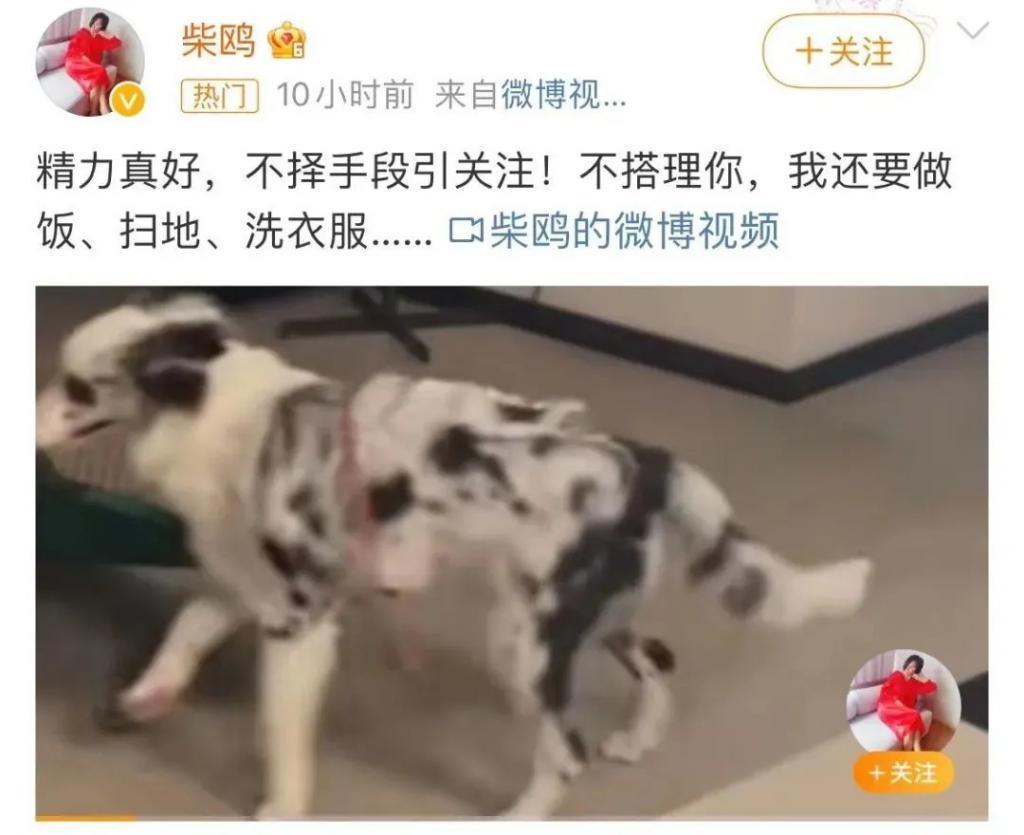 从“古装第一美女”到查无此人，她经历了啥？