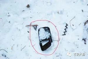 真相细思极恐！她算是权钱灰色交易的受害者吗？