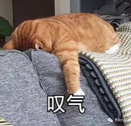 真相细思极恐！她算是权钱灰色交易的受害者吗？