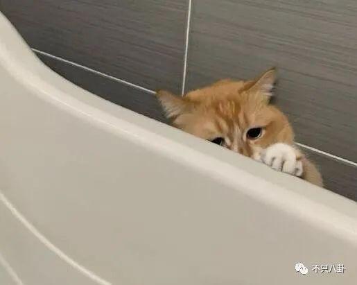 真相细思极恐！她算是权钱灰色交易的受害者吗？