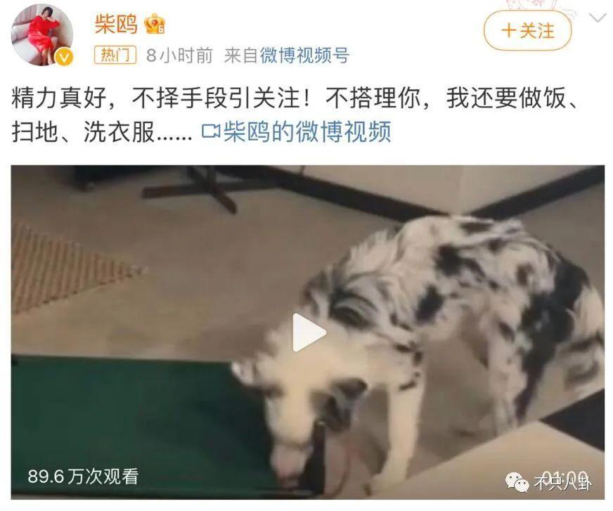 真相细思极恐！她算是权钱灰色交易的受害者吗？