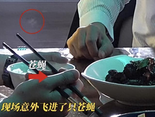 没上映就火遍全网，张国立终于在张艺谋手里找回最好的演技