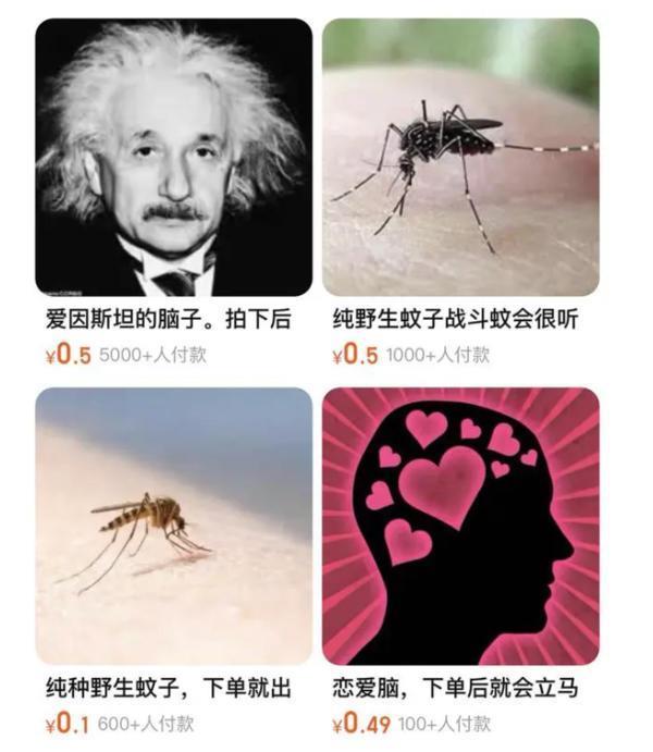 “爱因斯坦的脑子”网上热销2万份 “情绪产品”真有用吗？