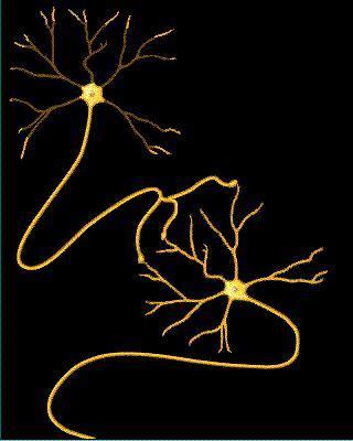 人类大脑相当于多少个GB的内存？