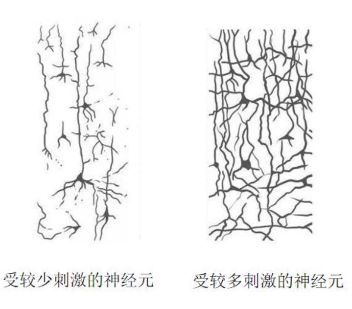 人类大脑相当于多少个GB的内存？