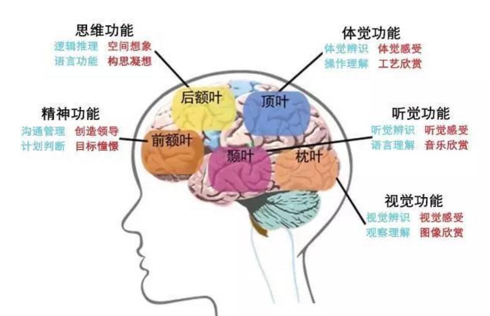 人类大脑相当于多少个GB的内存？