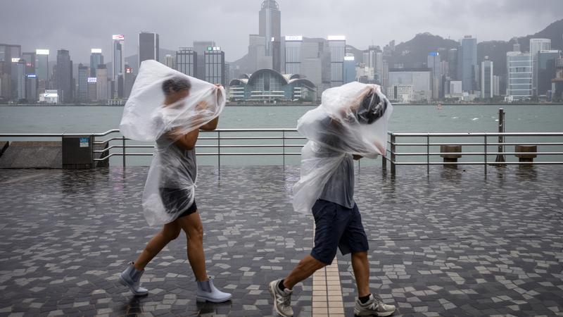 台风苏拉，真的来了