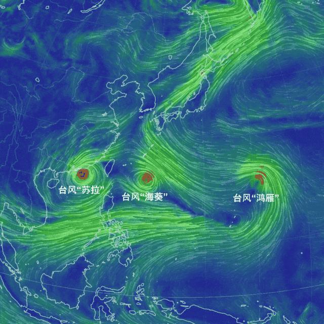 台风苏拉，真的来了