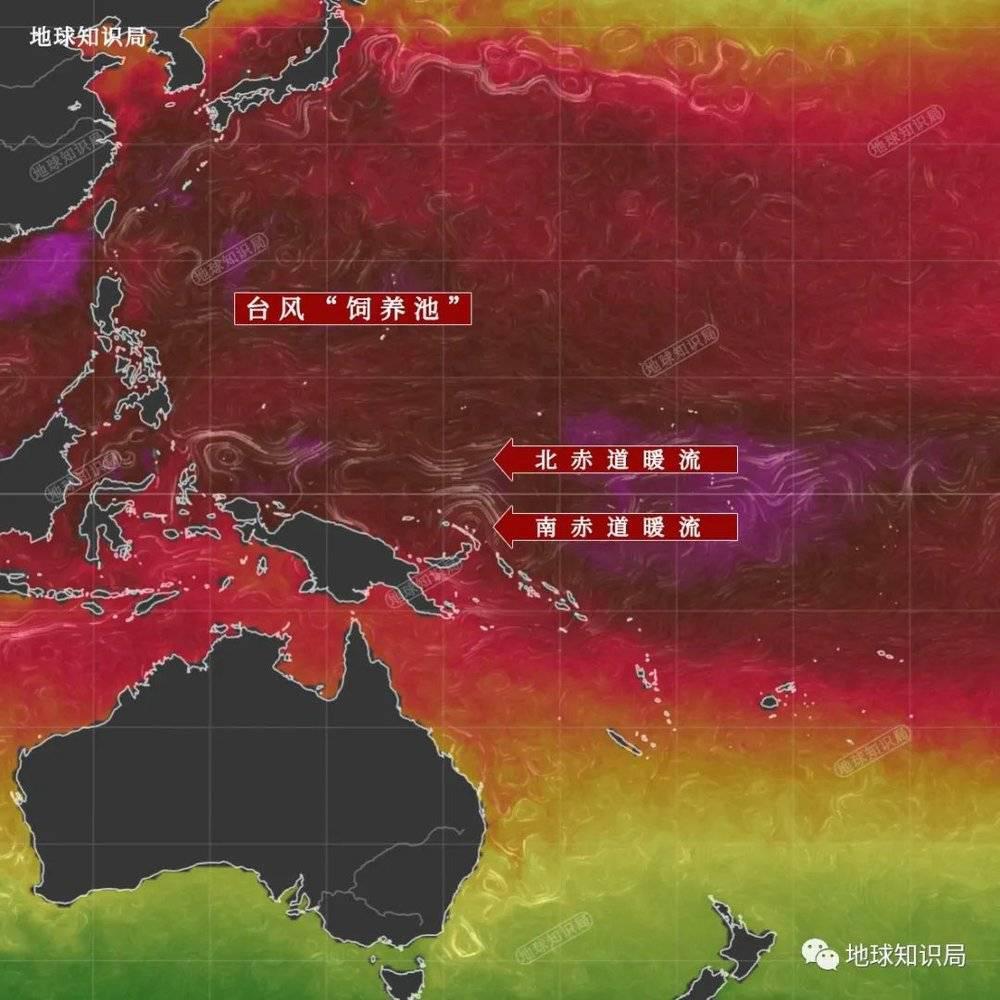 台风苏拉，真的来了