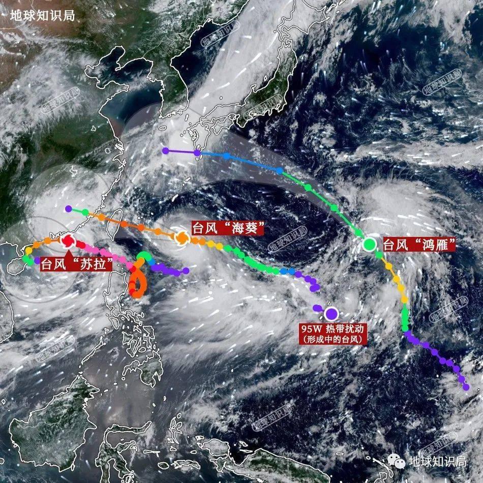台风苏拉，真的来了