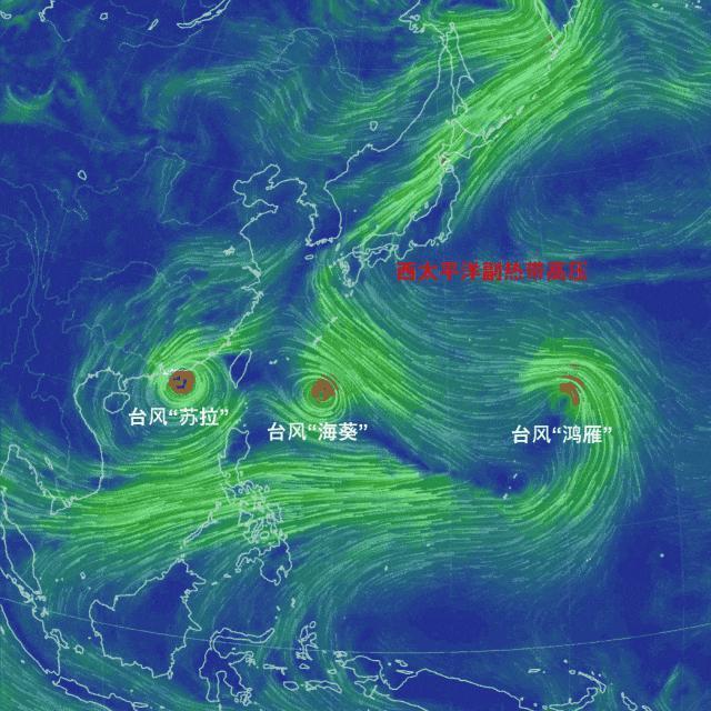 台风苏拉，真的来了
