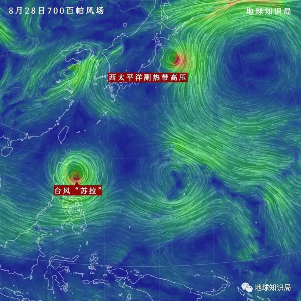 台风苏拉，真的来了