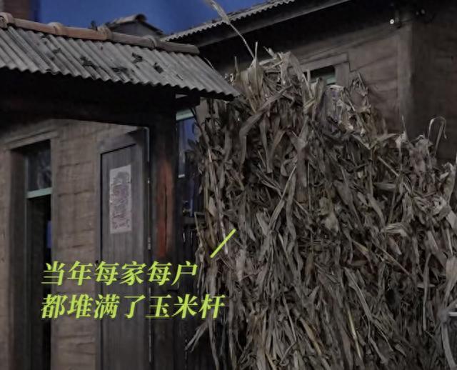 张晚意起球的衣领，打了多少国产剧“假穷人”的脸