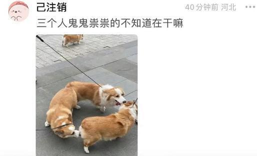 尺度太雷人，他俩白脱了