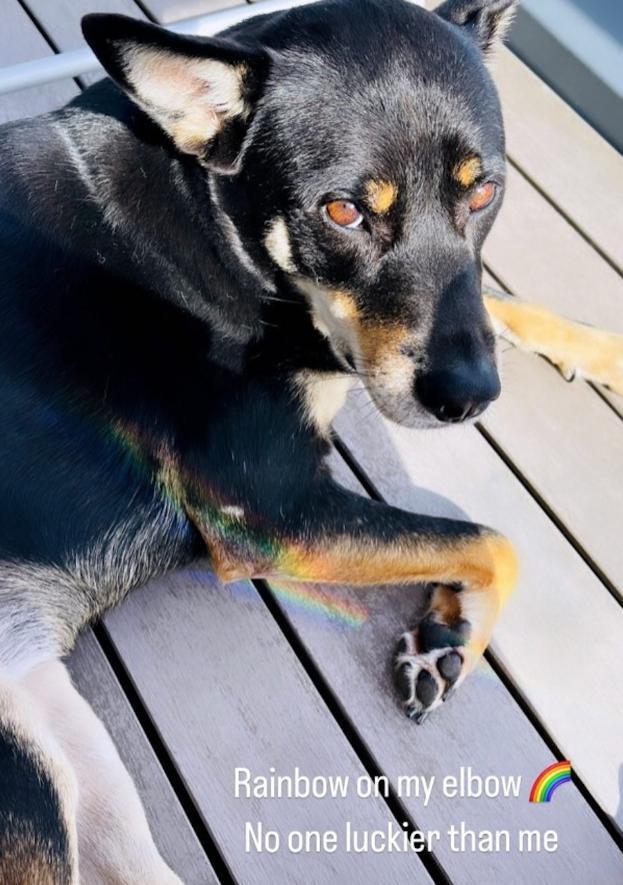 当小三被封杀四年没收入，奉子成婚晒豪宅海景，黄心颖又想翻身了