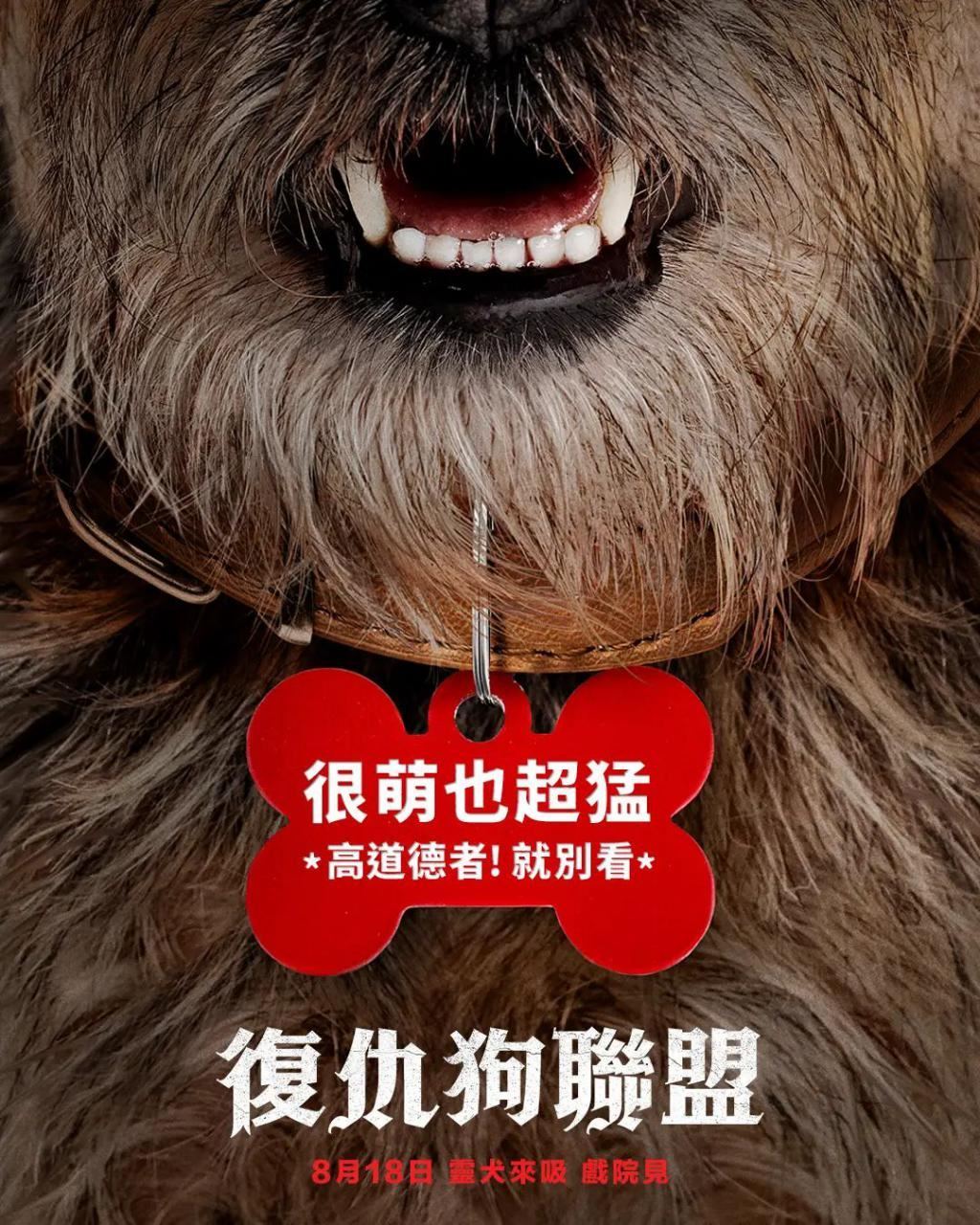 网飞尺度剧王，来了！