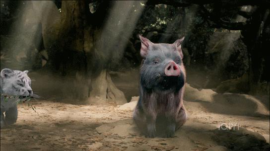 播到大结局还这么烧脑，有没有人管管这部剧！