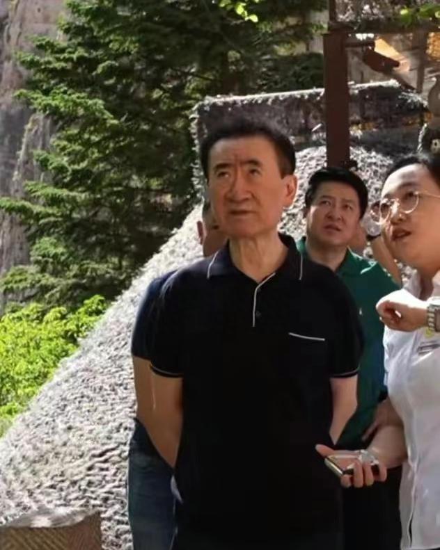 王健林现身被指暴瘦,近十人保驾护航,乘车模样憔悴打扮朴素