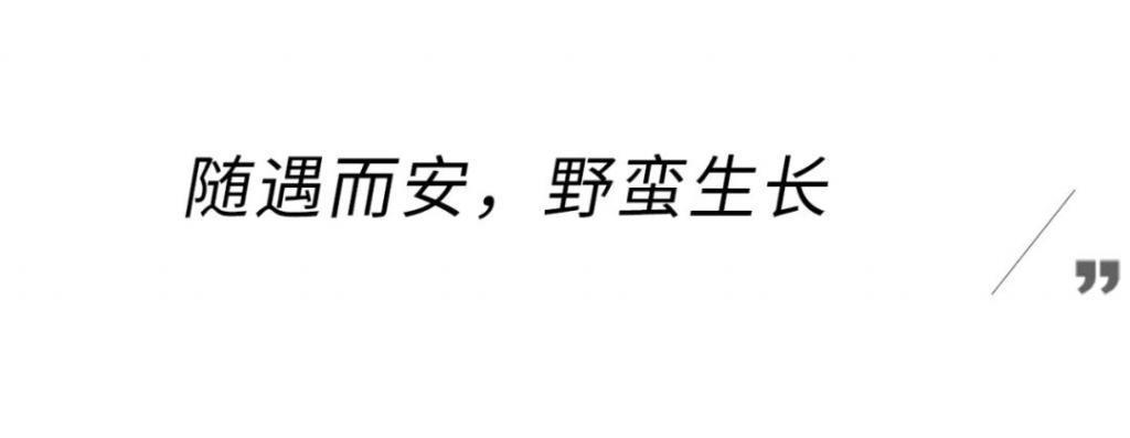 哇！内娱终于出了个性感的狠女人！