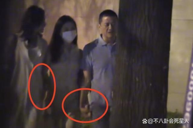 李亚鹏娇妻情商好高，聚会主动挽住李嫣手臂，网友：比王菲强