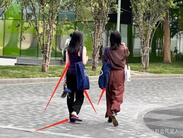 李亚鹏娇妻情商好高，聚会主动挽住李嫣手臂，网友：比王菲强