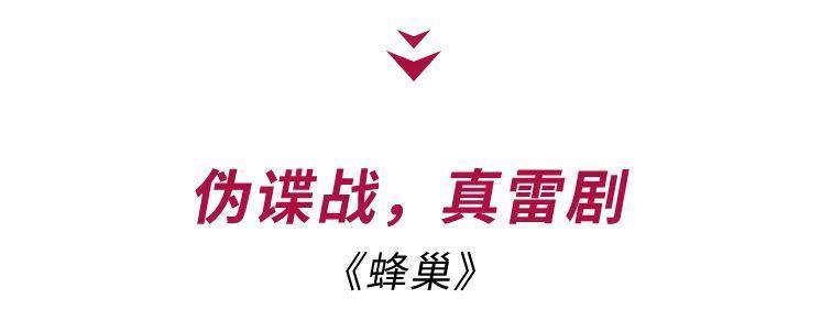 宋轶，你把观众当傻子吗？