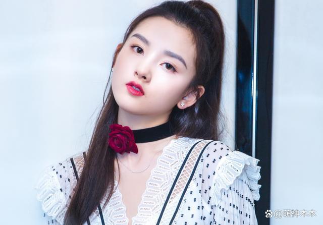 黄渤吴京沈腾都补税了，看完这份补税名单才知道王宝强有多宝贵