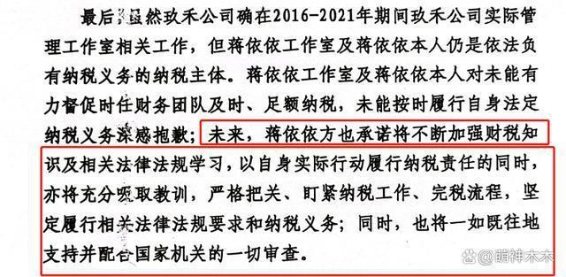 蒋依依回应偷漏税，被前公司坑害已主动自查补缴
