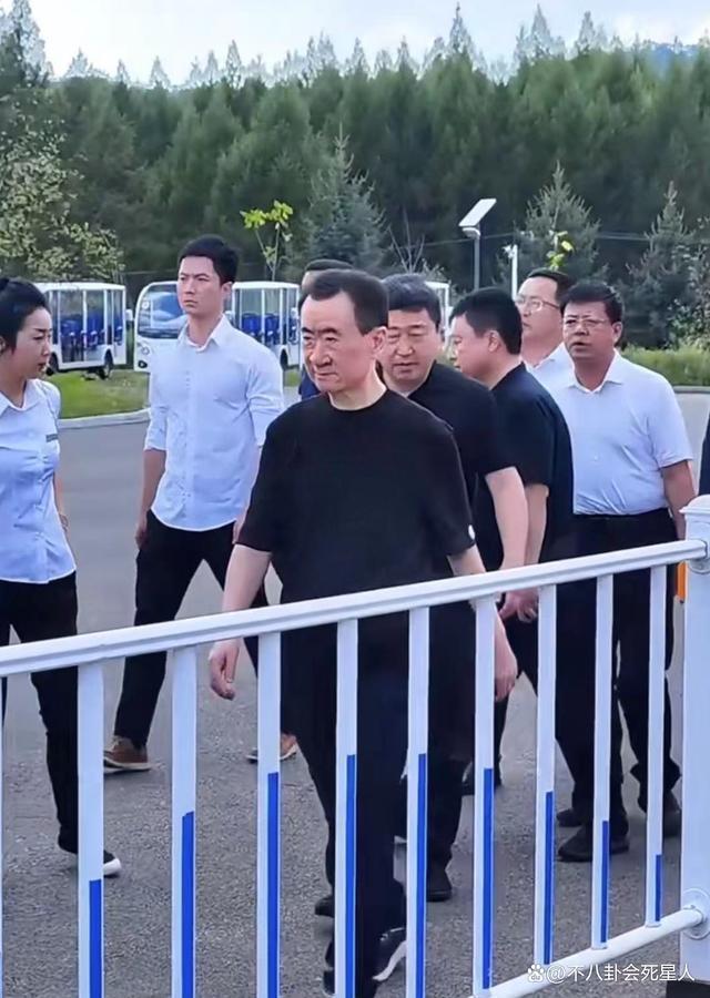 百亿富豪出门差别大，王健林李嘉诚被保镖包围，霍震霆从不带