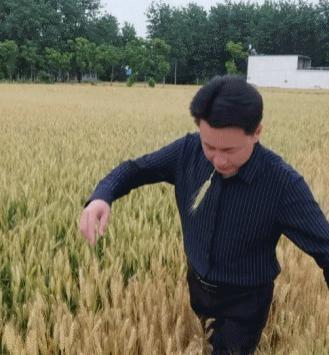 他突然被封杀，全网阿姨心梗