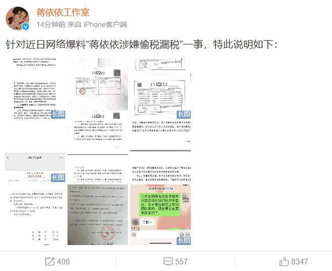 蒋依依工作室回应偷税漏税事件