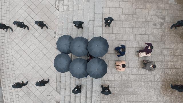 可以给宋轶新剧打负分吗