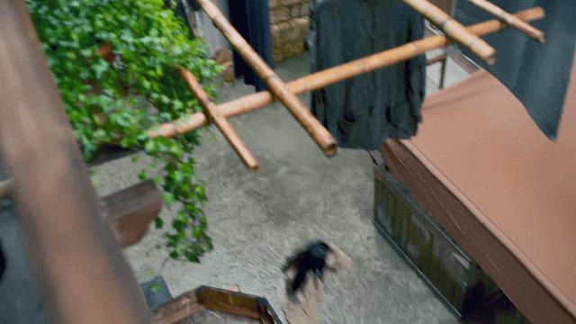 可以给宋轶新剧打负分吗