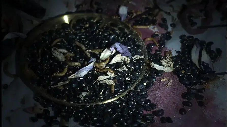 终于有能看的恐怖片了！