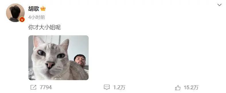 群嘲过后，说说这内娱大乌龙