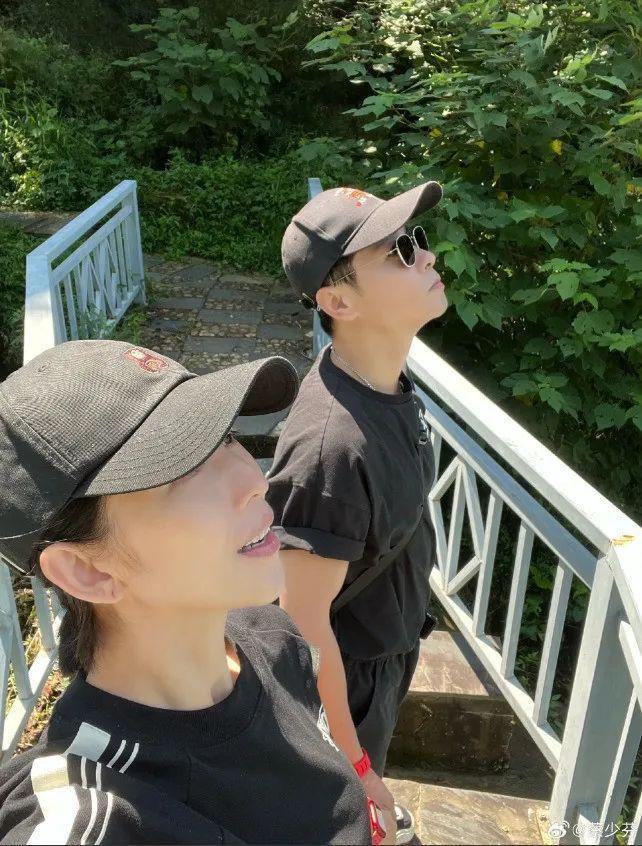 蔡少芬：我同意张晋再婚