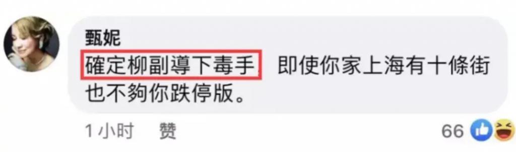 炮轰《好声音》、巨星丈夫死后四年生女，歌后甄妮的离奇人生