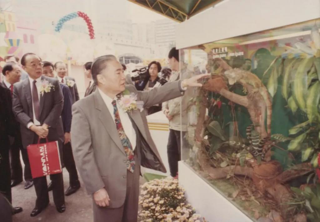 炮轰《好声音》、巨星丈夫死后四年生女，歌后甄妮的离奇人生