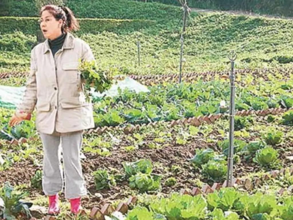 炮轰《好声音》、巨星丈夫死后四年生女，歌后甄妮的离奇人生