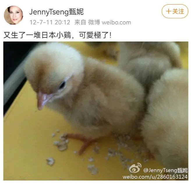 炮轰《好声音》、巨星丈夫死后四年生女，歌后甄妮的离奇人生