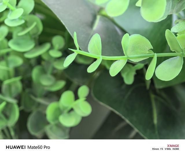 华为Mate60 Pro上手评测：性能相当于天玑8100