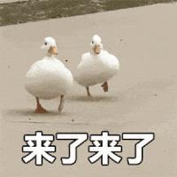 前嫂子被造黄谣怒而锤他？他几次三番塌房已经塌出巨坑了吧！