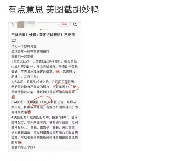 美图“截胡”妙鸭？