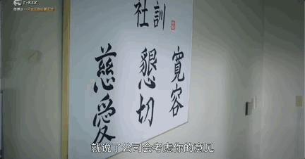连刷7集，她一出手，狠狠整顿贵圈