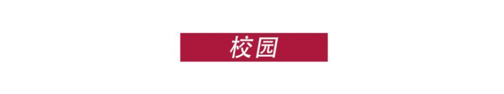 催生片？「血肉横飞」也挡不住恋爱！